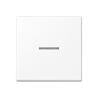 Клавиша для балансирных выключателей с окошком; дюропласт; белый матовый, A590KO5WWM