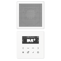 Цифровое радио DAB +, DABLS1WW