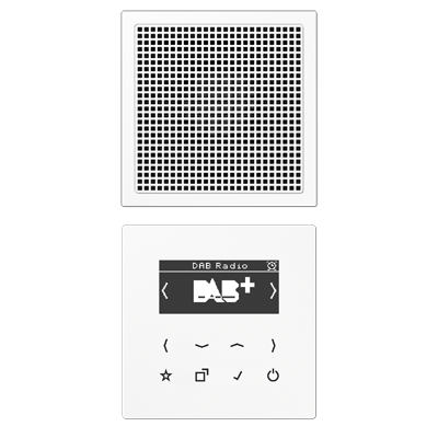 Цифровое радио DAB +, DABLS1WW