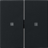 5369005 Gira Клавиша двойн., без надписи с контрольным окошком 5369005 Gira Клавиша двойн., без надписи с контрольным окошком