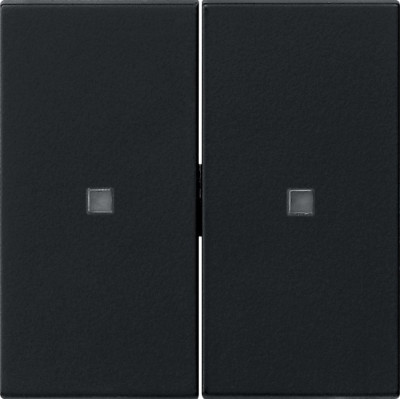 5369005 Gira Клавиша двойн., без надписи с контрольным окошком