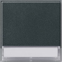 067667 Gira Клавиша с полем для надписи 37*47 мм