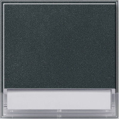 067667 Gira Клавиша с полем для надписи 37*47 мм