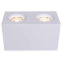 Maytoni Technical Потолочный светильник Цвет: Белый 50W