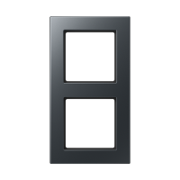 Рамка для вертикальной и горизонтальной установки, 2 поста; термопласт; матовый антрацит; A550, A5582BFANM