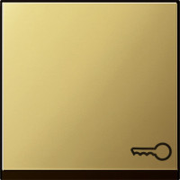 0287604 Gira Клавиша с пиктограммой "ключ"