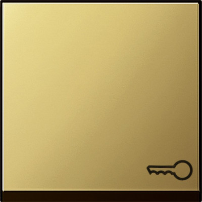 0287604 Gira Клавиша с пиктограммой "ключ"