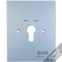 Металлическая крышка 125?100 мм без символов; алюминий, 6.28WUG