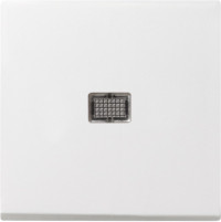 029803 Gira Клавиша с большим контрольным отверстием