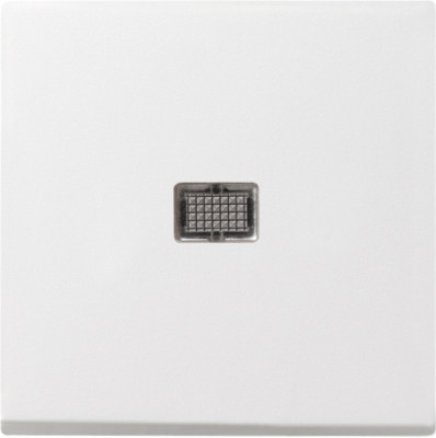 029803 Gira Клавиша с большим контрольным отверстием