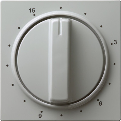 064042 Gira Накладка таймера 15 мин