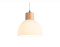 Подвесной светильник E27*1, AMBRELLA LIGHT, TR83133