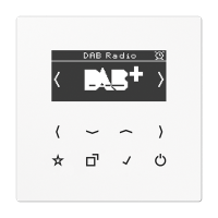 Цифровое радио DAB +, DABLSWW