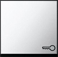 0287605 Gira Клавиша с пиктограммой "ключ"