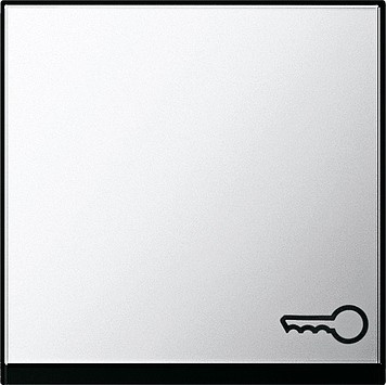 0287605 Gira Клавиша с пиктограммой "ключ"