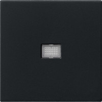 0298005 Gira Клавиша с большим контрольным отверстием