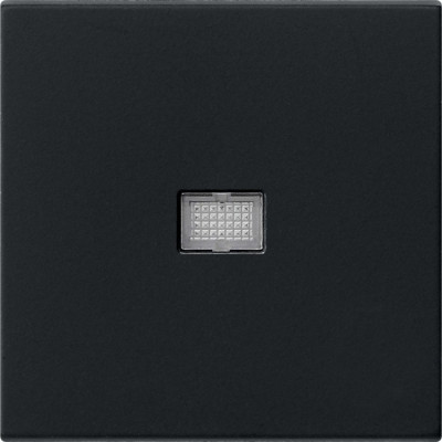 0298005 Gira Клавиша с большим контрольным отверстием