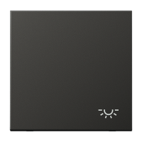 Клавиша с символом "свет"; антрацит, AL2990LAN