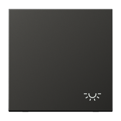 Клавиша с символом "свет"; антрацит, AL2990LAN