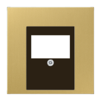 Крышка для ТАЕ и USB розеток, фиксация винтом; металл; латунь classic; Messing, ME2969TC