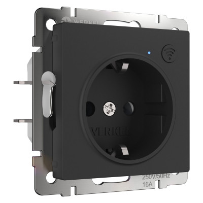 Werkel W1171608/ Умная розетка (черный матовый), a056422
