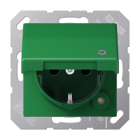 SCHUKO® розетка с крышкой, A1520BFKLKOGN