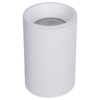 Maytoni Technical Потолочный светильник Цвет: Белый 50W