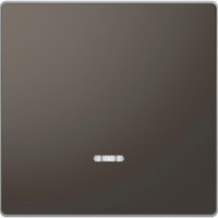 D-Life Клавиша 1-ная с линзой для LED-модуля, антрацит