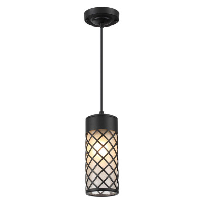 4834/1 NATURE ODL21 575 черный/стекло Ландшафтный светильник-подвес E27 1*60W IP44 DUNES