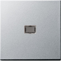 029826 Gira Клавиша с большим контрольным отверстием