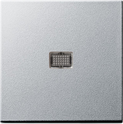 029826 Gira Клавиша с большим контрольным отверстием