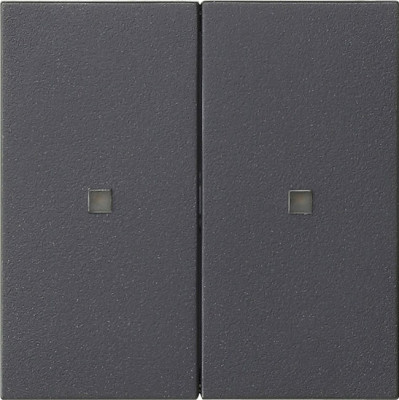 536928 Gira Клавиша двойн., без надписи с контрольным окошком