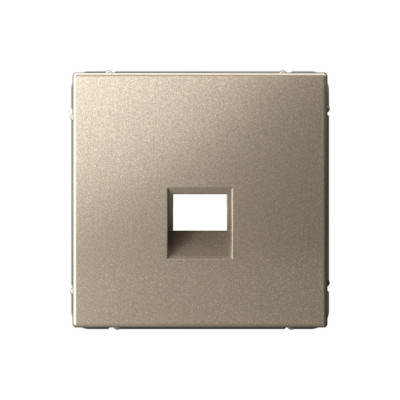 GAL000584 - ARTGALLERY НАКЛАДКА для информационных функций типа Keystone, ШАМПАНЬ, Systeme Electric