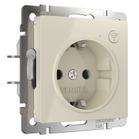 Werkel W1171603/ Умная розетка (слоновая кость), a056421 Werkel W1171603/ Умная розетка (слоновая кость), a056421