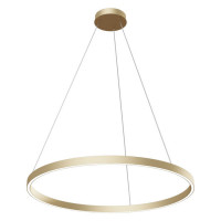 Technical Rim Подвесной светильник, цвет -  Латунь, 51W