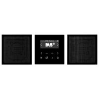 Смарт радио DAB+, стерео; черный, DABLS2SW