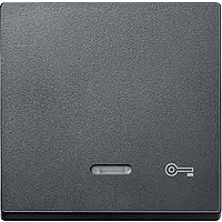 SM Клавиша 1-ная линзой и символом "Ключ", антрацит