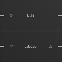 5032905 Gira Клавиша 2-ная  для сенс.  выкл.Gira 4 KNX, ГРАВИРОВКА