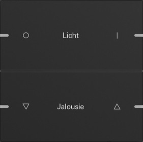 5032905 Gira Клавиша 2-ная  для сенс.  выкл.Gira 4 KNX, ГРАВИРОВКА