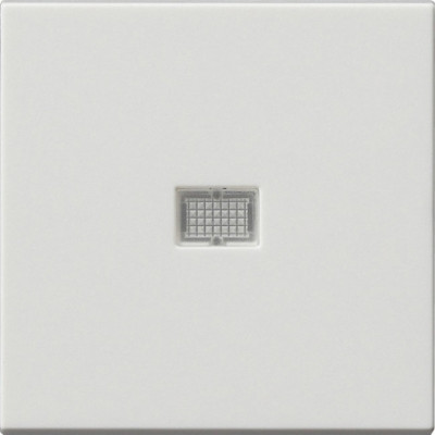 029827 Gira Клавиша с большим контрольным отверстием