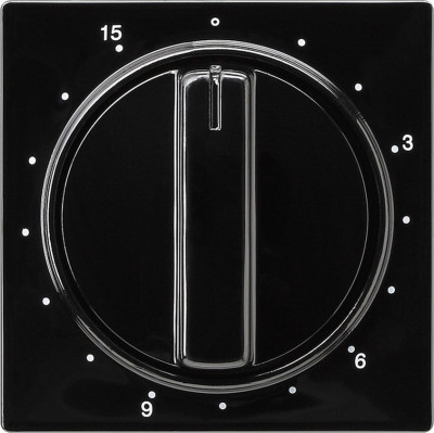 064047 Gira Накладка таймера 15 мин