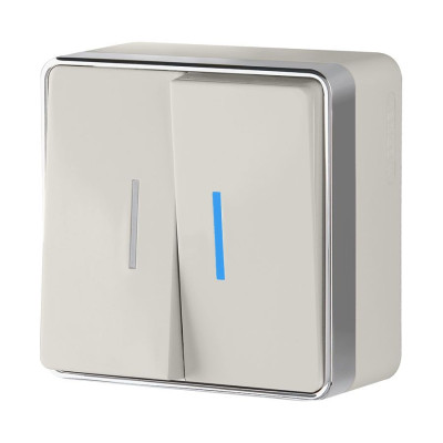 Werkel W5020103/ Выключатель двухклавишный с подсветкой Gallant (слоновая кость), a051550