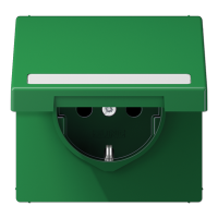 SCHUKO розетка с полем для надписи и крышкой, LS1520BFNAKLGN