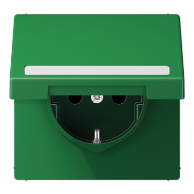 SCHUKO розетка с полем для надписи и крышкой, LS1520BFNAKLGN