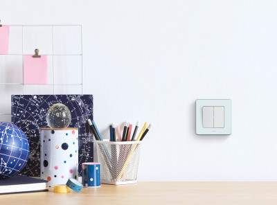 Legrand Выключатель двухклавишный - Legrand Inspiria - 10А 250В безвинтовые зажимы - белый, 673620