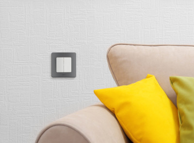 Legrand Выключатель двухклавишный - Legrand Inspiria - 10А 250В безвинтовые зажимы - белый, 673620