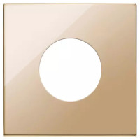 Vimar Накладка на 2 модуля Eikon Exe с круглым отверстием для розеток 22208, золото, 22642.RN.82 Vimar Накладка на 2 модуля Eikon Exe с круглым отверстием для розеток 22208, золото, 22642.RN.82