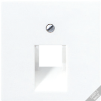 Крышка для одинарных телефонных и компьютерных розеток (UAE), фиксация винтом; дюропласт; шампань; A500, A569-1PLUACH