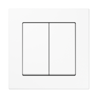 Jung Выключатель 2-клавишный, серия A 550