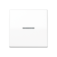 Одинарная клавиша с окошком для балансирных механизмов выключателей (кнопок) с подсветкой, в комплекте с AS90HP (крепежный элемент); дюропласт; белый; AS500, AS591KO5WW Одинарная клавиша с окошком для балансирных механизмов выключателей (кнопок) с подсветкой, в комплекте с AS90HP (крепежный элемент); дюропласт; белый; AS500, AS591KO5WW